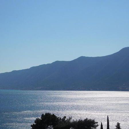 Villa Aronija Kotor Kültér fotó