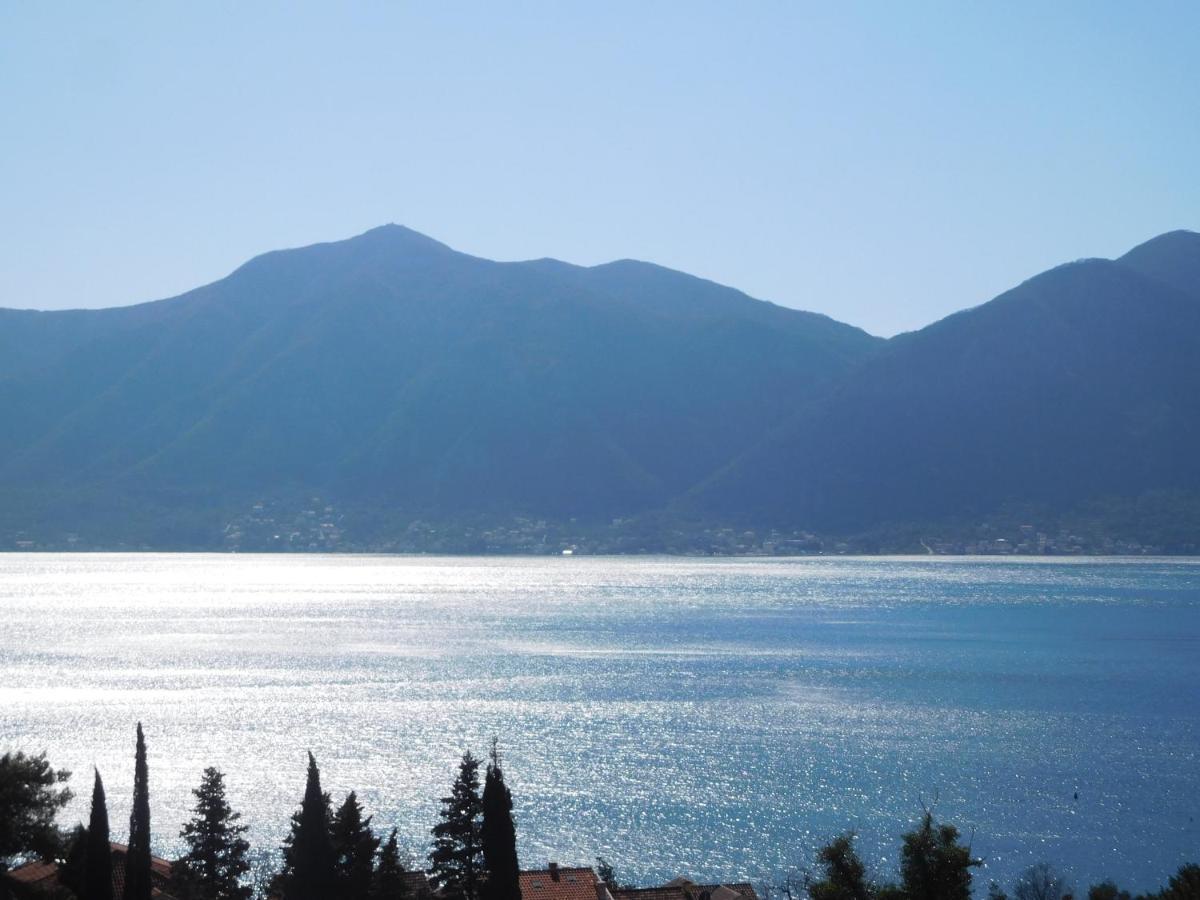 Villa Aronija Kotor Kültér fotó