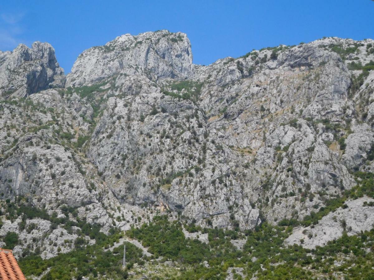 Villa Aronija Kotor Kültér fotó