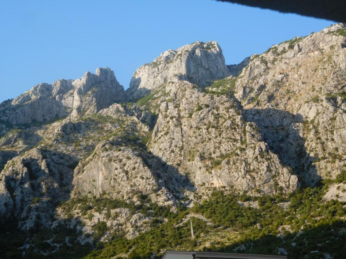 Villa Aronija Kotor Kültér fotó